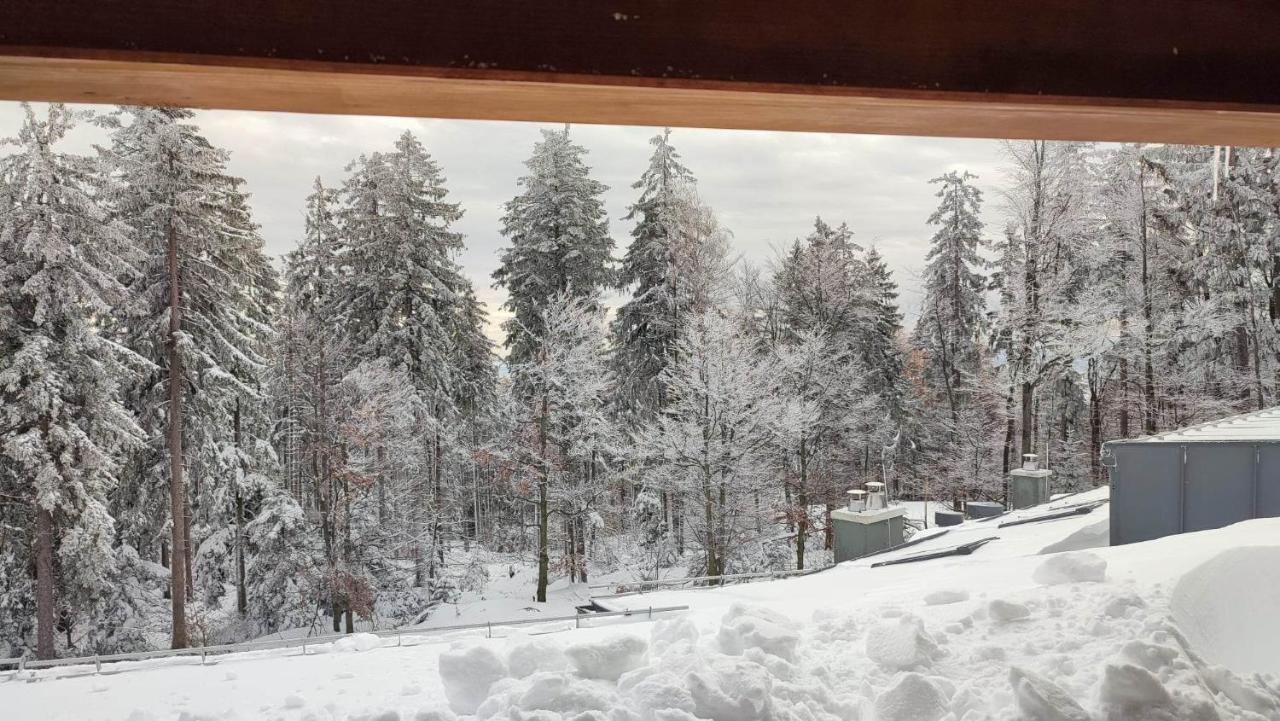 Pohorje Pearl Lux, 2-Floor Apartment Hočko Pohorje Kültér fotó